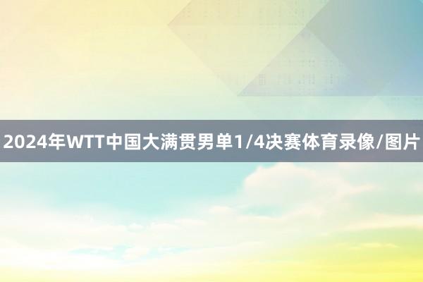 2024年WTT中国大满贯男单1/4决赛体育录像/图片